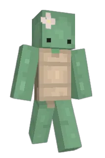 arianagrandefan6 Minecraft avatar full body