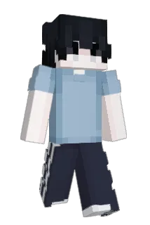 ariiso Minecraft avatar full body