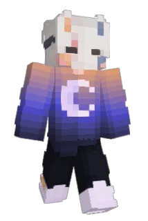 arijan96 Minecraft avatar full body