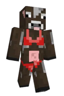 ariosee Minecraft avatar full body