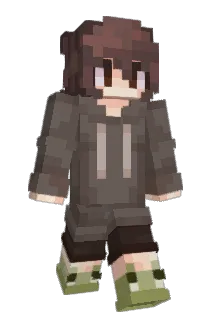aripariparipari Minecraft avatar full body