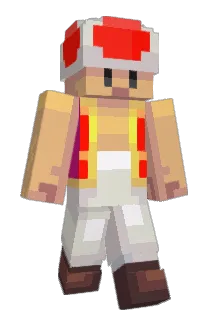 arniegames Minecraft avatar full body