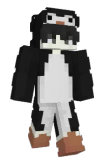 aroeex Minecraft avatar full body