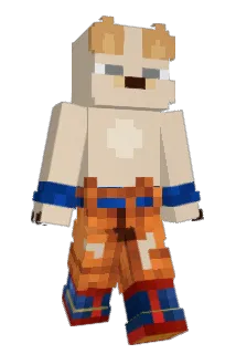 aronchideuS Minecraft avatar full body