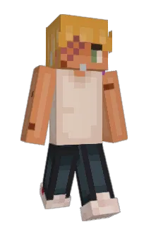 arrrchi3 Minecraft avatar full body
