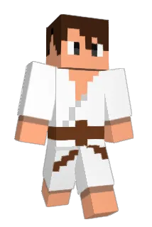 art_usg Minecraft avatar full body