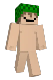 articcanine Minecraft avatar full body