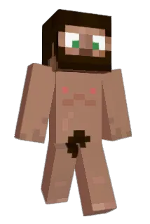 artician Minecraft avatar full body