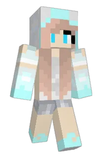 artisticflair Minecraft avatar full body