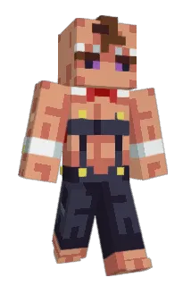 as65478 Minecraft avatar full body