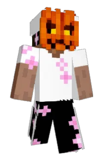 asfollowed Minecraft avatar full body
