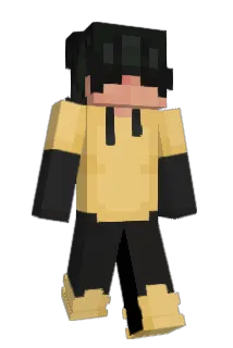 ashiplay Minecraft avatar full body