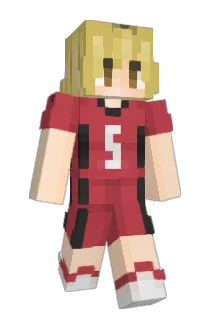 ashquavis Minecraft avatar full body
