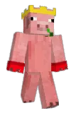 asianarchie Minecraft avatar full body