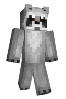 asmr605 Minecraft avatar full body