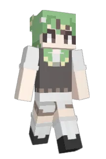 aso5 Minecraft avatar full body