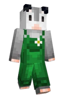 assa_bloom Minecraft avatar full body