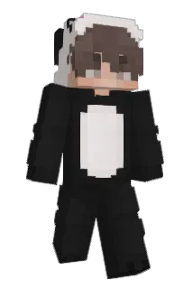 assassinlss Minecraft avatar full body