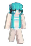 assin29 Minecraft avatar full body