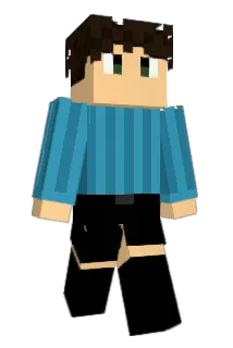 assrtdnts Minecraft avatar full body