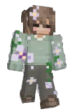 asterue Minecraft avatar full body