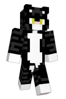 asuka0009 Minecraft avatar full body