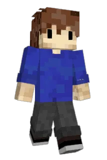 atfox98 Minecraft avatar full body