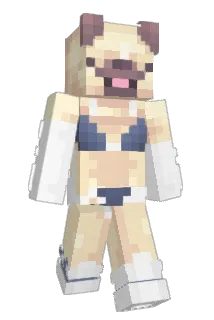 atinyguy Minecraft avatar full body