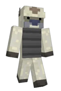 atoohs Minecraft avatar full body