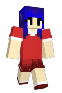 attnight Minecraft avatar full body
