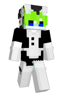 Minecraft-Avatar von aubreyq_: ganzer Körper