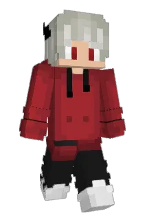 augumolper Minecraft avatar full body