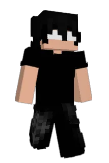aur3n3 Minecraft avatar full body