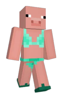 ava284 Minecraft avatar full body