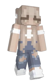 avadvies Minecraft avatar full body