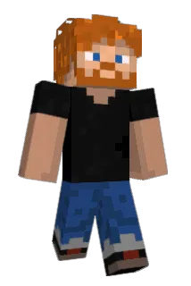 aveidel Minecraft avatar full body