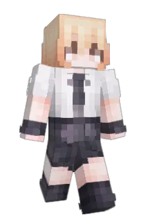 awa489 Minecraft avatar full body