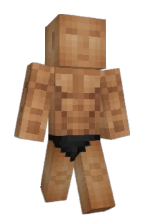 awd012 Minecraft avatar full body