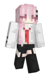awdssw Minecraft avatar full body