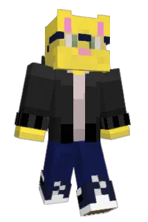 awes0mecat Minecraft avatar full body