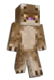 awesomeainsleyp Minecraft avatar full body