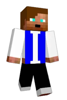awoodenplank Minecraft avatar full body