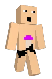 awsome102 Minecraft avatar full body