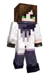axarctics Minecraft avatar full body