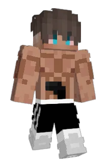 axeldupouy Minecraft avatar full body