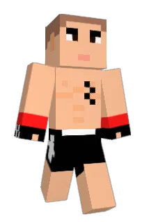 axelschwarzer Minecraft avatar full body
