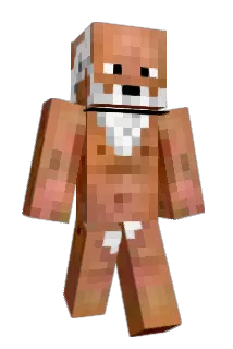 axelsi Minecraft avatar full body