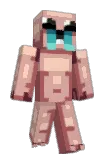 axofr Minecraft avatar full body