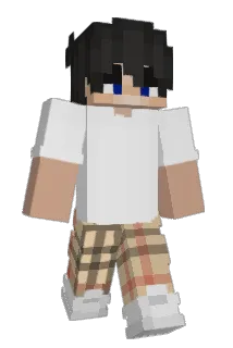 ayarkin Minecraft avatar full body