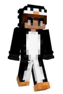 aydenj12 Minecraft avatar full body